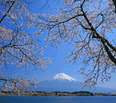 富士山１４